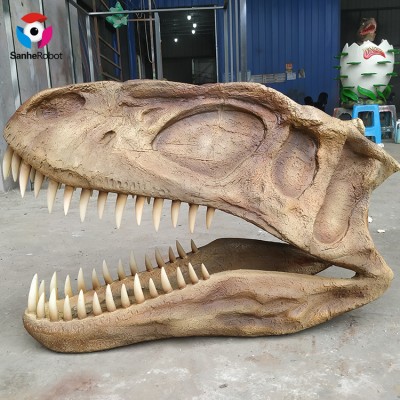 Artificial T-REX Dinosaur Head Fiberglass Fossil for Sale