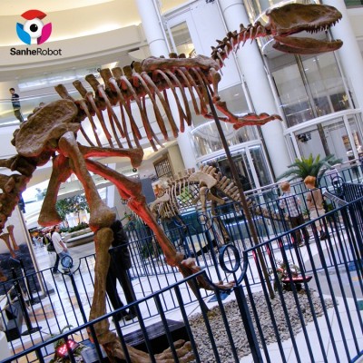 Zigong Outdoor Dinosaur Museum Dinosaur Skeleton Replica