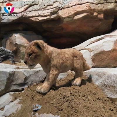 Animatronic Simulation Small Lion for Museum Exhibition