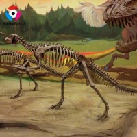 SH-FF209 dinosaur Skeleton for Science Museum Equipment