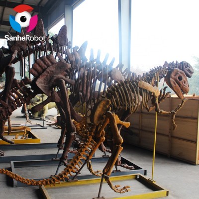 Zoomer Dino Skeleton , Distinctive Shop Display Dinosaur Fossil for Sale