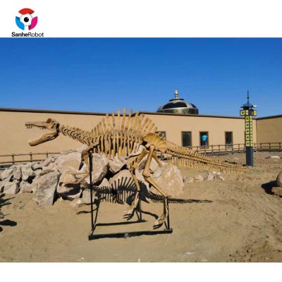 SH-FF154 Vivid Museum Quality Assurance Dinosaur Skeleton